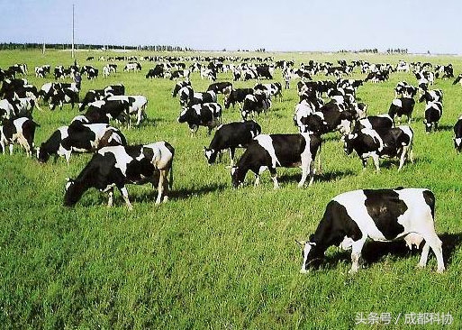 吃哪种质量的食物能减少碳排放,食物与碳排放的关系