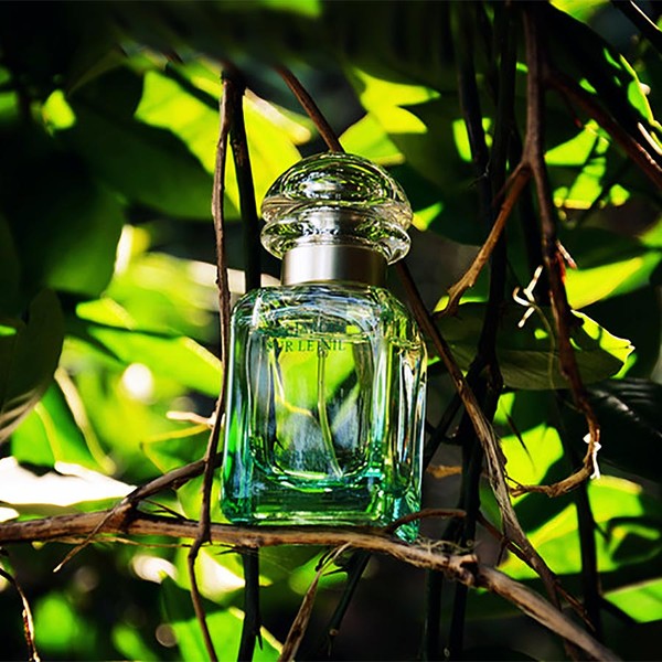 清甜温暖的香水推荐,清甜又优雅的香水