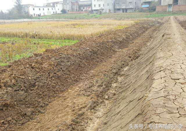 泥鳅能够用网箱养殖吗,台湾泥鳅养殖网箱多少钱