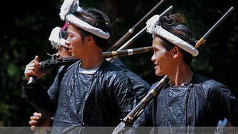 17日文化热点回顾：14年公盘上的5亿标王赌石，切开连只满绿手镯都没有，跌的好惨