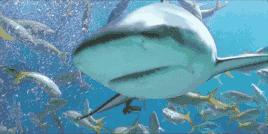 农业工作难找,农业专业找工作好找吗