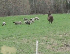 农业工作难找,农业专业找工作好找吗