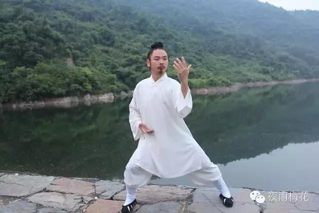 武当太极陈师宇,武当太极十三式陈师宇