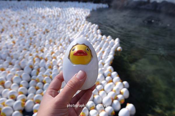 冬日的浪漫游山玩水泡温泉,又能够看雪又能够泡温泉的地方