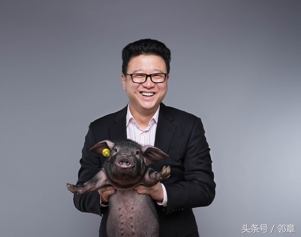 网易养猪股权众筹,网易养猪计划是什么