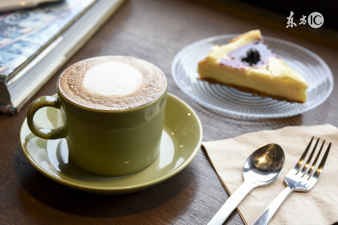 芝士的诱惑免费观看全集,芝士的诱惑