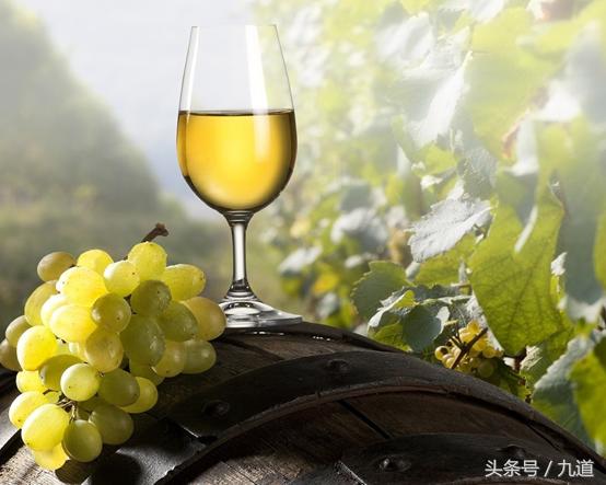 白葡萄酒为什么不含单宁,白葡萄酒不含单宁