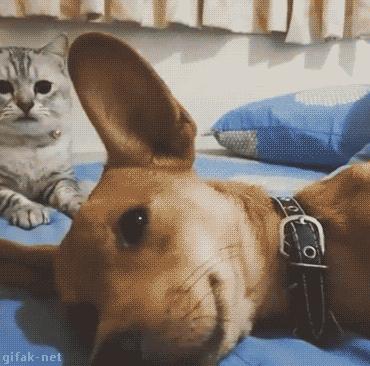 地铁惊现“大力神”，小伙子你前途无量啊