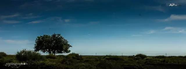 *疆新**，其实并不遥远（4）