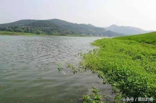 不同天气怎么钓鱼视频,不同天气怎么钓鱼最好看