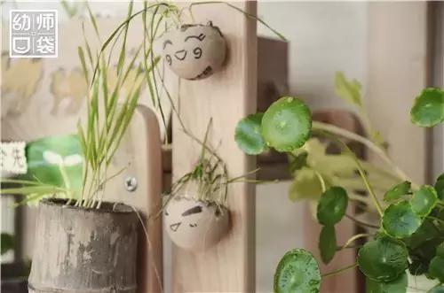幼儿园如何打造自然区角的环境,复古自然角幼儿园