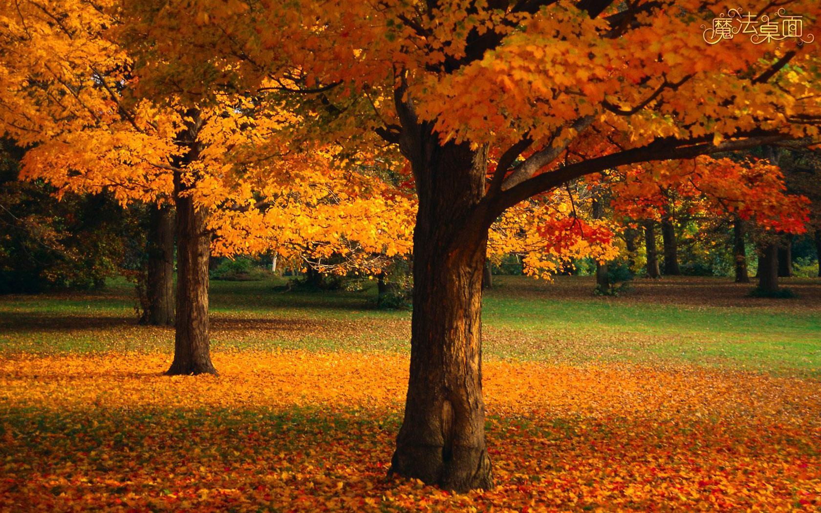 基督徒人际关系注意事项,基督徒人际关系怎样处理