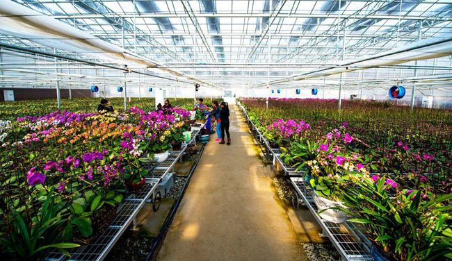 无锡出发安徽旅游攻略自驾游,安徽旅游攻略最全最好的线路