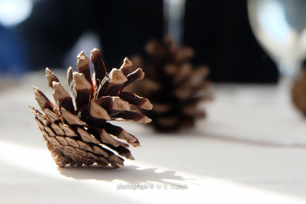 冬日的浪漫游山玩水泡温泉,又能够看雪又能够泡温泉的地方