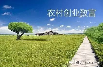 合适中年人创业的小本生意,40岁农村创业合适做什么