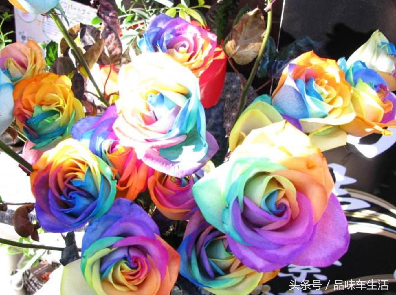 未来赚钱合适女生做的创业项目,女生低成本创业项目大全