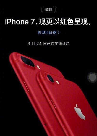 Panda妹良心吐槽：太残忍！竟用兔兔遮车牌