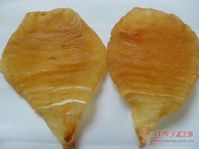 哪些鱼鳔能够制成鱼胶,加工鱼鳔