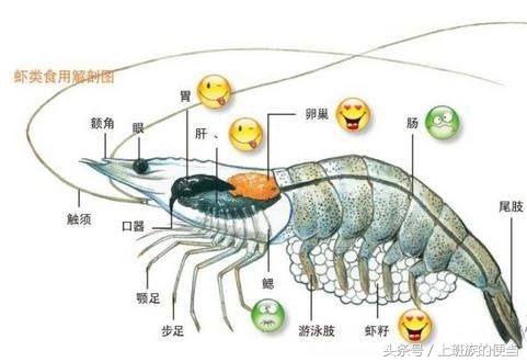 鸡头好吃还是鸭头好吃,鸭头鸡头不能吃的原因