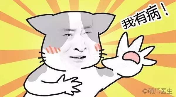 喵的，我都这么痛了！你还看不出来么？！