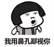 我大黑河的东北话，就是这么搞siào！