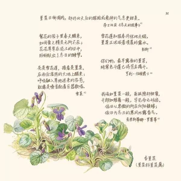 英伦乡野手记,英伦乡野手记读后感