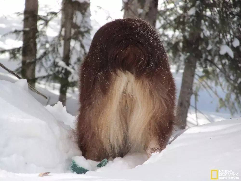 国家地理摄影图片冬天,中国国家地理景观冬季