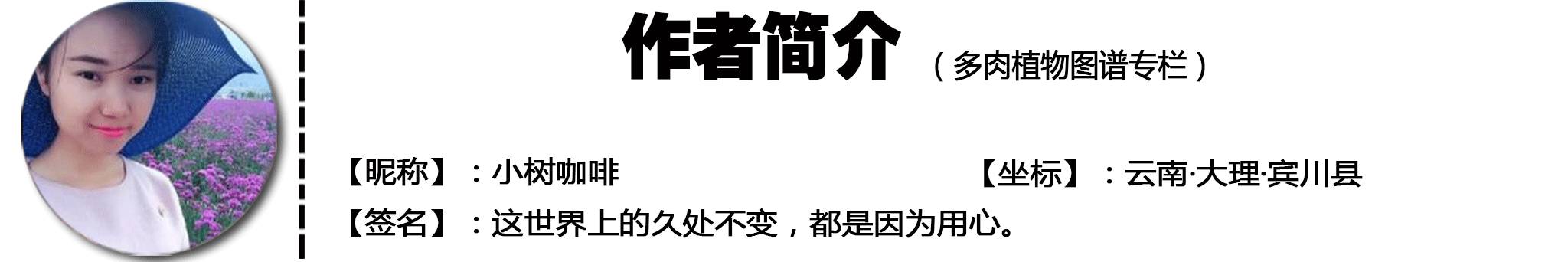 有多热爱多肉的感言,今天你爱国了吗黑板报资料