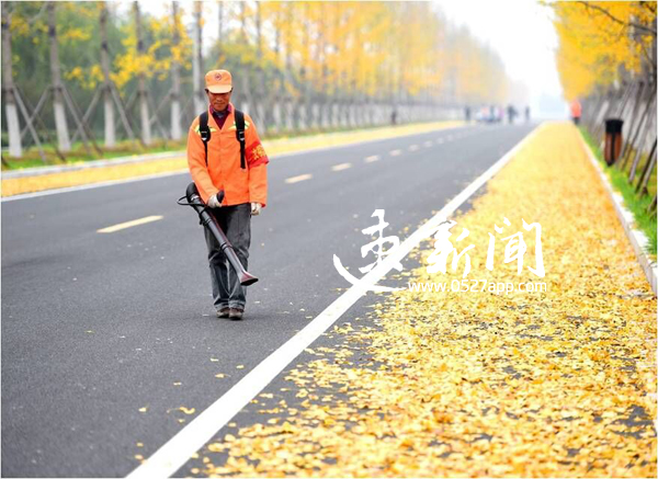 有颜有料有气质，宿迁的“绣”美你可曾细细品味？