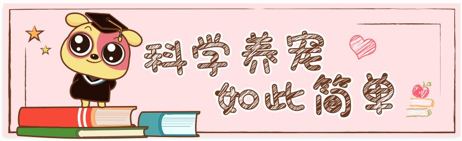 看完速度删！一篇只有宠物业内人士知道的内幕！