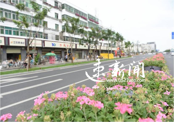 有颜有料有气质，宿迁的“绣”美你可曾细细品味？