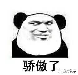 我大黑河的东北话，就是这么搞siào！