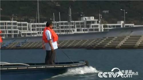 养鱼赚钱的真实案例,如何靠养鱼赚钱