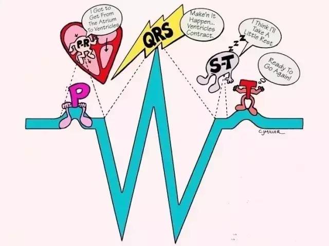 学会看心电图的书,阅读心电图的步骤