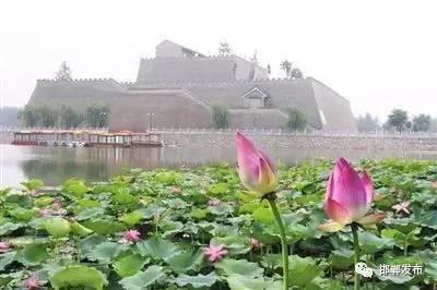 约起│2017年魏县梨花节，旅游路线及最佳观赏时间出炉！
