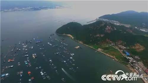 养鱼赚钱的真实案例,如何靠养鱼赚钱