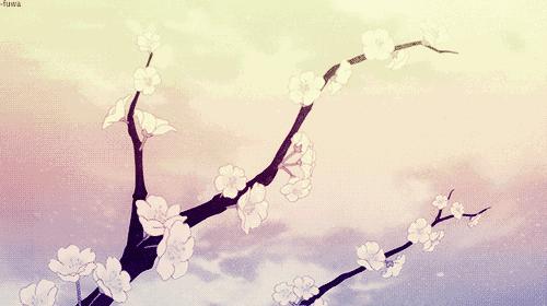 约起│2017年魏县梨花节，旅游路线及最佳观赏时间出炉！