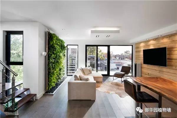 植物墙居家,特色植物墙