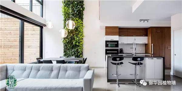 植物墙居家,特色植物墙