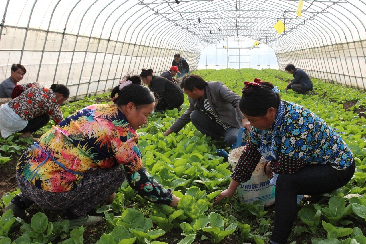 前方高能！魔都首家生态火锅店，在日照房里吃出今年流行色~