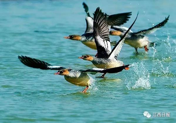 身边的朗读者！江西87岁老人如何与书擦出23次火花……