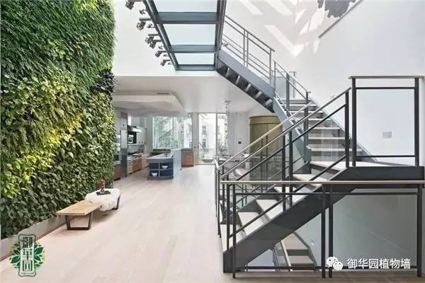 植物墙居家,特色植物墙