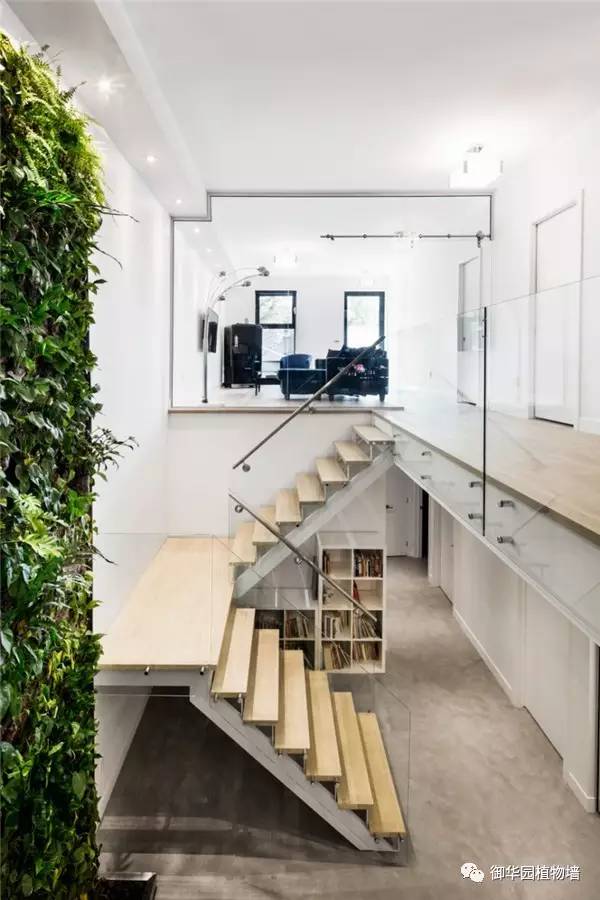 植物墙居家,特色植物墙