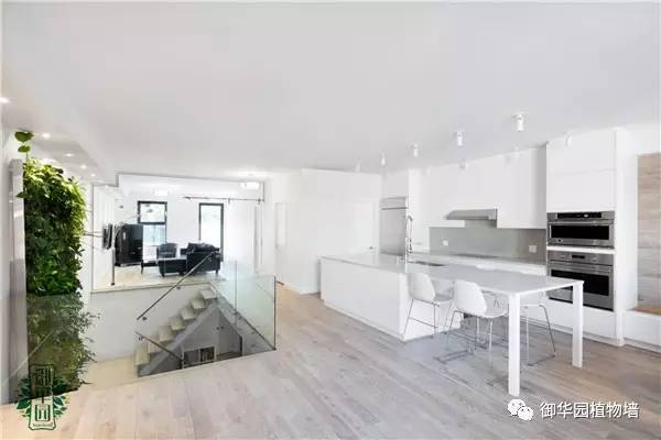 植物墙居家,特色植物墙