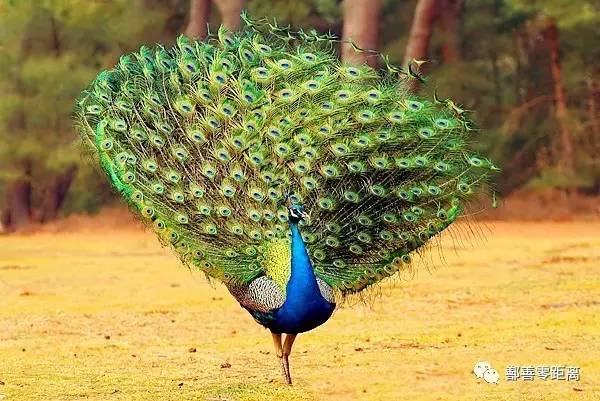 鄯善沙漠景区,鄯善旅游景点攻略大全最新