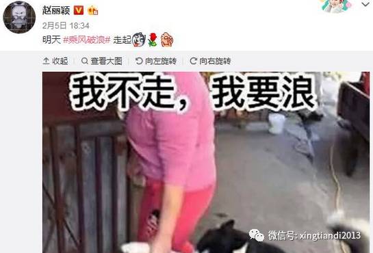 真让人头大的表情,真让人头大的表情包动图