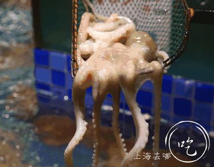 魔都竟然有家川菜馆，藏着5000㎡海鲜市场和KTV！微信好友越多折扣越大！