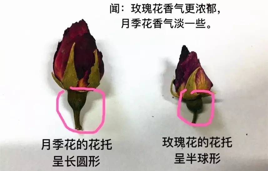 西苑中医院中药材怎么样,西苑中医院特色药