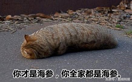 孕妇吃的感冒食品,孕妇生病合适吃什么食物