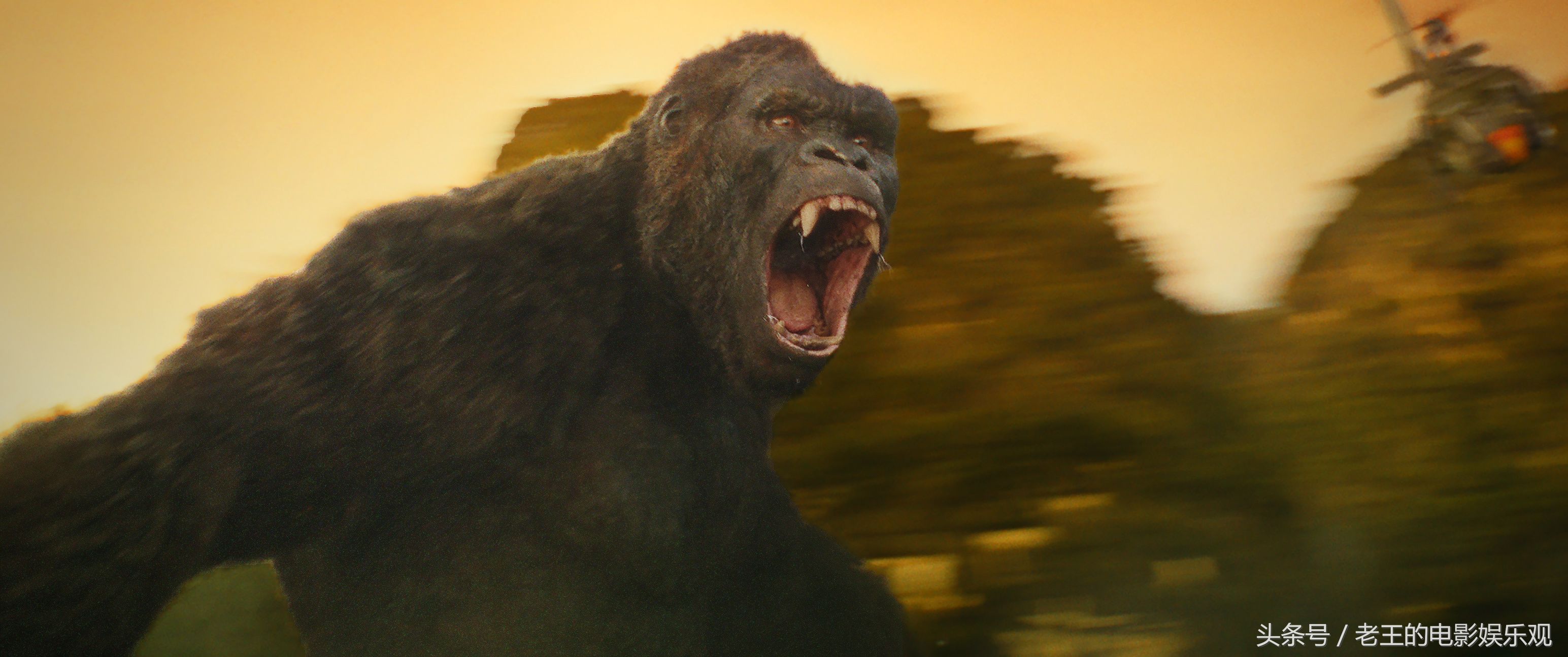 金刚景甜片段,景甜在金刚里的片段